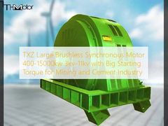 TXZ Grote Borstelloze Synchrone Motor 400-15000kW 3kV-11kV met Groot Startkoppel voor de Mijnbouw- en Cementindustrie