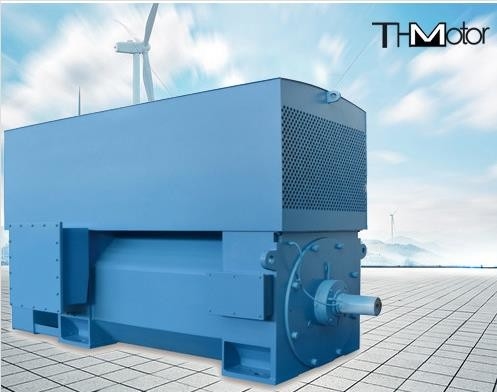 400 aan 6000kw-Hoogspanningsac Motoren van de Motorip23 de Elektrische Inductie