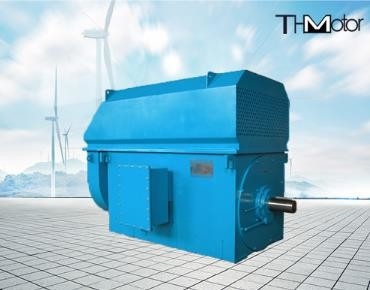 IP23 energie - besparing 100rpm Met geringe geluidssterkte aan 3000rpm-Hoogspannings Elektrische Motoren 50Hz 10KV