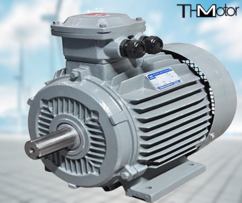 GB30254 Explosieveilige hoogspanningspomp met elektrische motor IP65 165kW