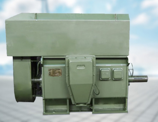 De Gekronkelde Rotor Asynchrone Motoren 3kv In drie stadia van YRKK - 11kv 1000rpm