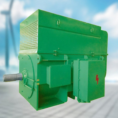 De Gekronkelde Rotor Asynchrone Motoren 3kv In drie stadia van YRKK - 11kv 1000rpm