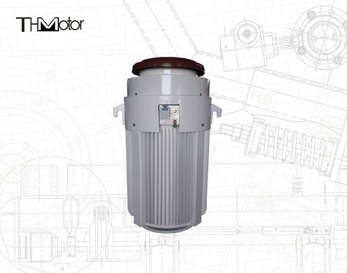 IE2 0-40C Speciale motoren 600V 600 pk voor temperatuurbereik