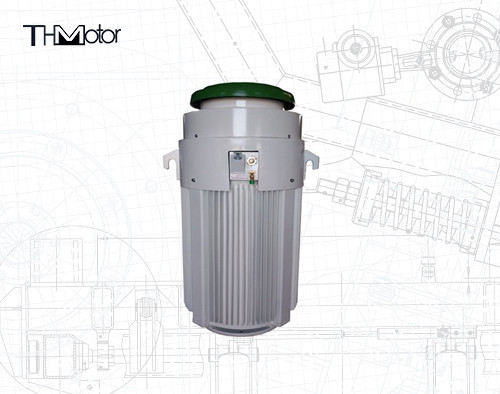 IE2 0-40C Speciale motoren 600V 600 pk voor temperatuurbereik