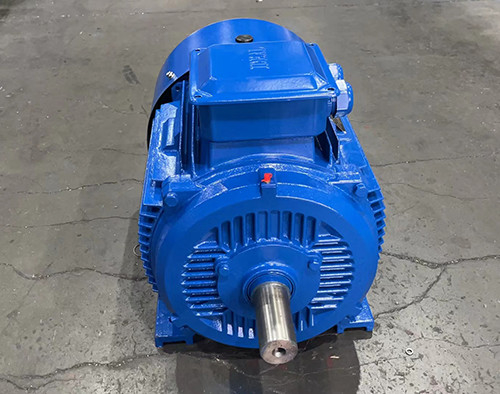 IC0141 Motor voor eekhoornkooien met een asdiameter van 75 mm voor continue werking S1