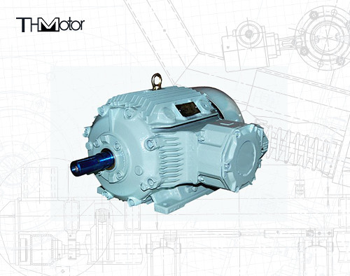 IC611 IC01 Drukvaste elektromotor IP65 Explosieveilige motorpomp