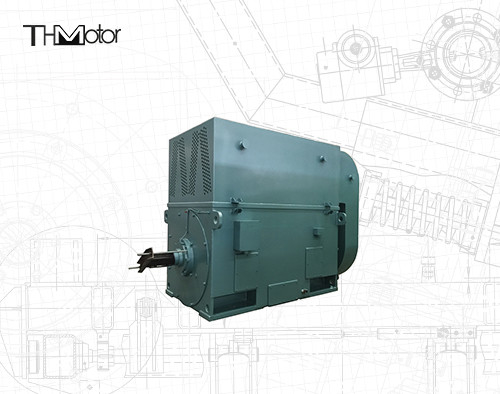 Y630-12 3 Motor van de de Kooiinductie van de Fase de Asynchrone Eekhoorn 710kw 496rpm