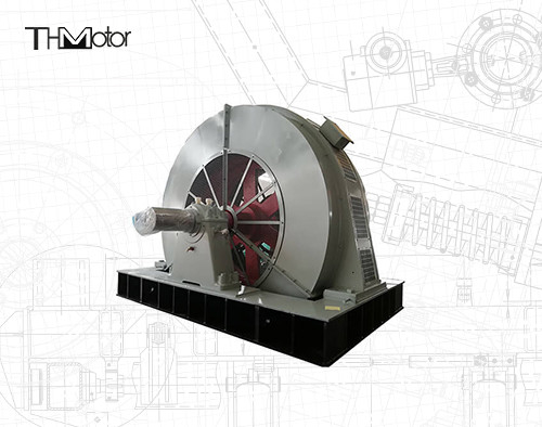 IP55 AC-synchrone motor met 4 polen en IEC-standaardmijnbouw