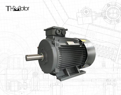 GB30254 Explosieveilige hoogspanningspomp met elektrische motor IP65 165kW