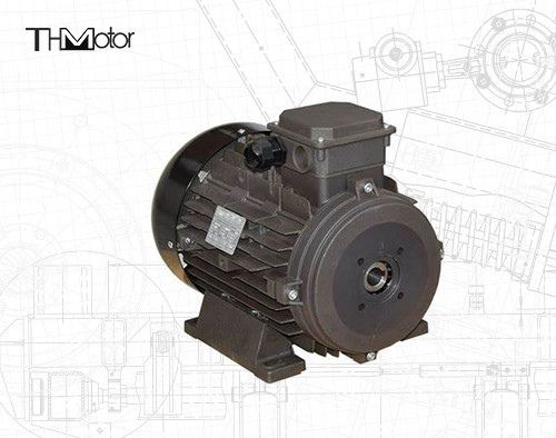 Power Hollow Shaft/Solid Shaft IP54/IP55 Spanning DC-motor voor industriële toepassingen