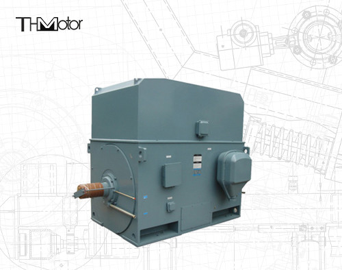 Industriële eekhoornkooi elektromotor 3000 RPM 1250KW 142A IP55 Continu S1