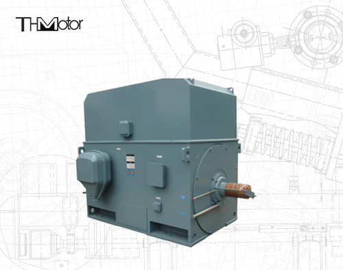Industriële eekhoornkooi elektromotor 3000 RPM 1250KW 142A IP55 Continu S1