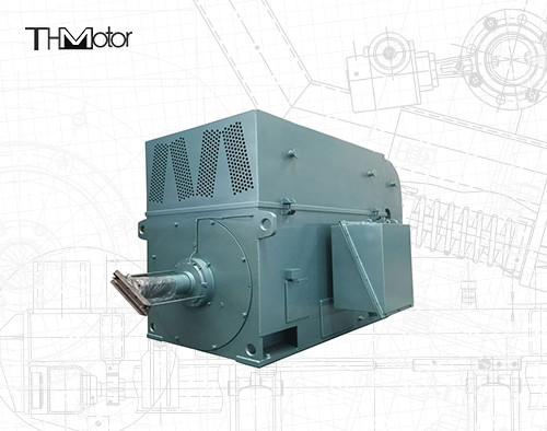 Van de Hoge snelheids Elektrische Motoren van de eekhoornkooi de Hoogspannings Elektrische Motoren 6KV 10KV IP23 IP54 IP55