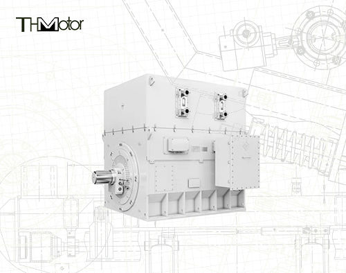 YKK500 745 t/min 6kV driefasige asynchrone hoogspanningsmotor