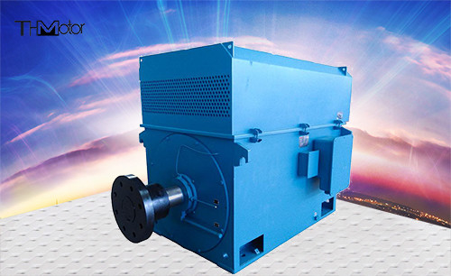 Van de de Hoge drukeekhoorn van YXKK 1250kw de Kooimotoren IP54 IP44 IP55