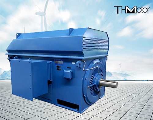 Y450-4 100rpm aan 3600rpm-Misstap Ring High Voltage Electric Motors 50hz 1000kw 6kv
