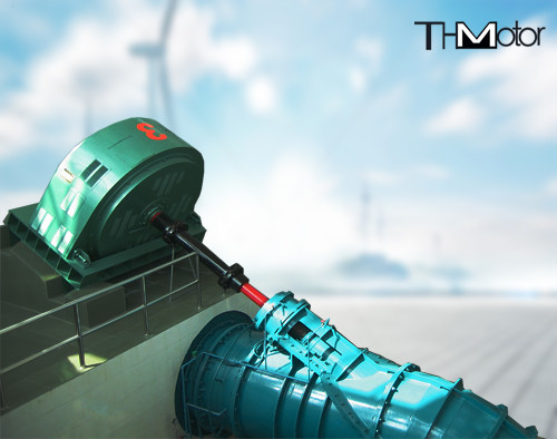 Van de de Grote Schaalmijnbouw van TXZ de Molen3ph AC Brushless Synchrone Motor 11kv