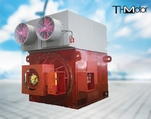 Motor van de de Rotorinductie van YRKK de Gekronkelde 10KV