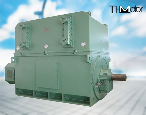 Motor van de de Rotorinductie van YRKK de Gekronkelde 10KV