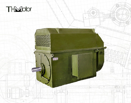 YKS450-2 Driefasige asynchrone motoren Hoogspanningselektrische inductiemotoren 2970 tpm