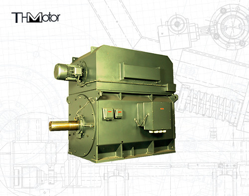 YPKK Cage Inverter Driefasige asynchrone motor 3000RPM IP55 6000KW