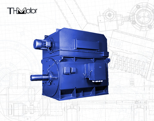 IP55 94,5% instelingssnelheid driefaseasynchrone motor IEC DNV GB