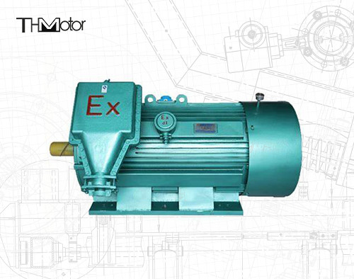 6 Polen-Asynchrone Motor de In drie stadia 10000V van het Vlambewijs