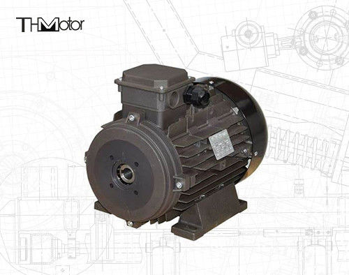 Power Hollow Shaft/Solid Shaft IP54/IP55 Spanning DC-motor voor industriële toepassingen