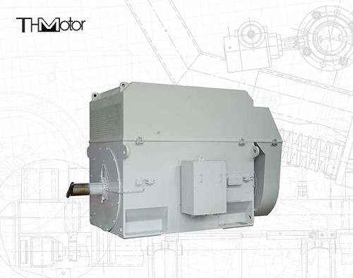 50 Hz eekhoornkooi motor met 100 mm as voor continue 3000 RPM werking